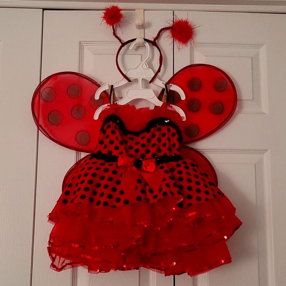 Girls ladybug dance costume